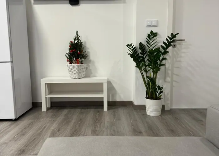 Casamaedouro Apartmán